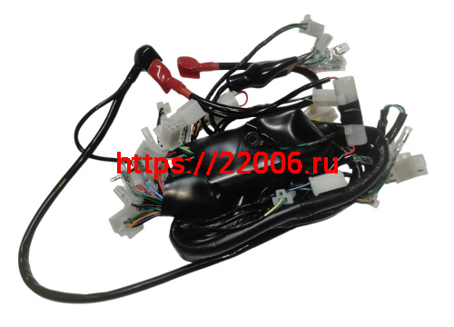 Проводка центральная MIRAGE 250 (ТЭККЕН) (170082722-0001) Проводка центральная MIRAGE 250 (ТЭККЕН) (170082722-0001)